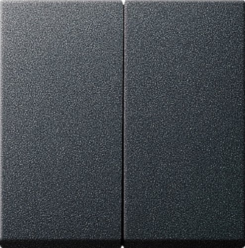 Лицевая панель Gira System55 для 2-кл. выключателя антрацит фото Лицевая панель Gira System55 для 2-кл. выключателя антрацит картинка